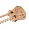 Ortega HYDRA BSTE - Dwugryfowe ukulele Ortega HYDRA BSTE - Dwugryfowe ukulele