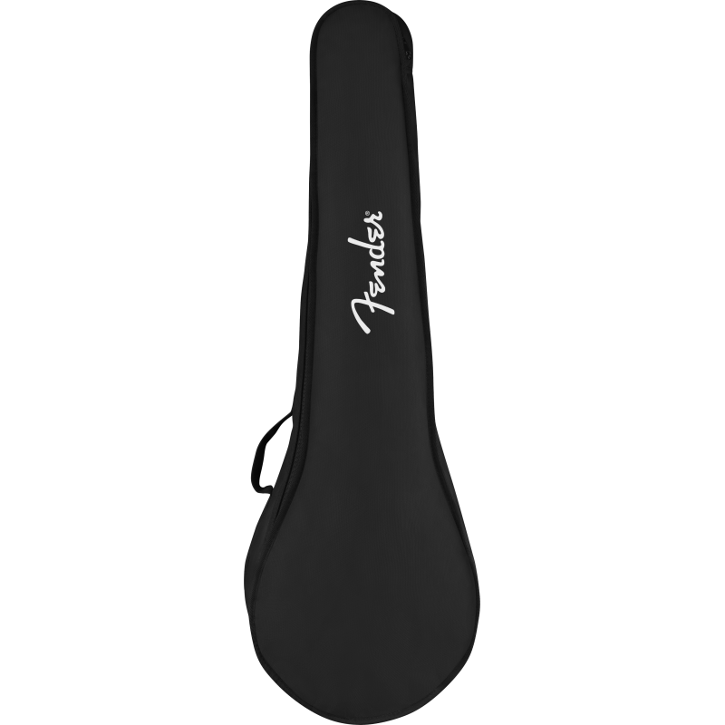 Fender PB-180E Banjo, Walnut Fingerboard, Natural - 2