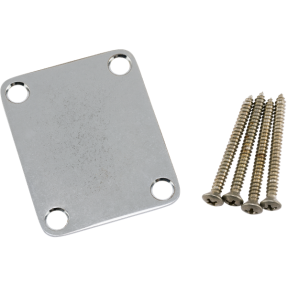 Fender Road Worn Guitar Neck Plate, w/Hardware - 1