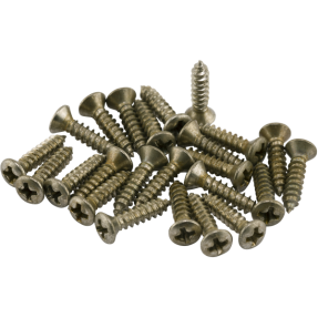 Fender Road Worn Pickguard/Control Plate Screws (24) - 1