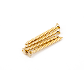 Fender Neck Mounting Screws, Gold, (4) - 1
