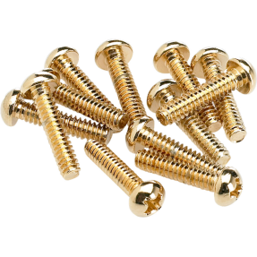 Fender Pickup and Selector Switch Mounting Screws (12) (Gold) - 1