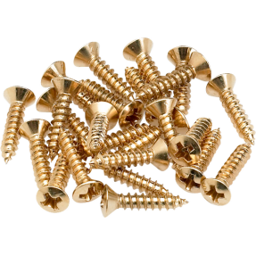 Fender Pickguard/Control Plate Mounting Screws (24) (Gold) - 1