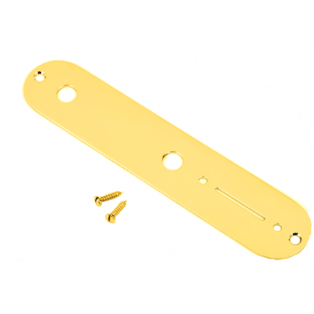 Fender Vintage Telecaster Control Plate, 2-Hole (Gold) - 1