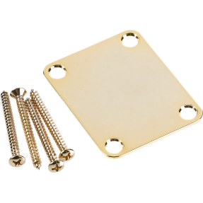 Fender 4-Bolt Vintage Neck Plate "Plain" (No Serial Number or Logo) (Gold) - 1
