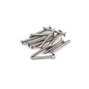 Fender Bass/Telecaster Bridge/Strap Button Mounting Screws, Phillips-Head, Chrome, (12) - 1