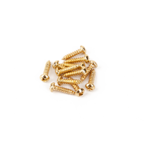 Fender Pure Vintage Tuning Machine Mounting Screws, Gold, (12) - 1