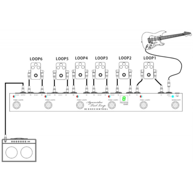 One Control Agamidae Tail Loop - Programmable 6-Channel Loop Switcher - 5