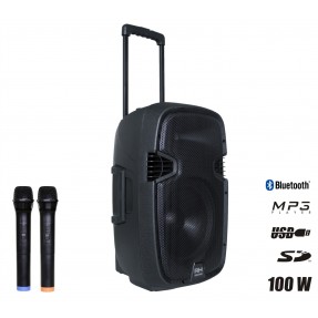 RH Sound PP-2112ADX-CB - zestaw mobilny - 1