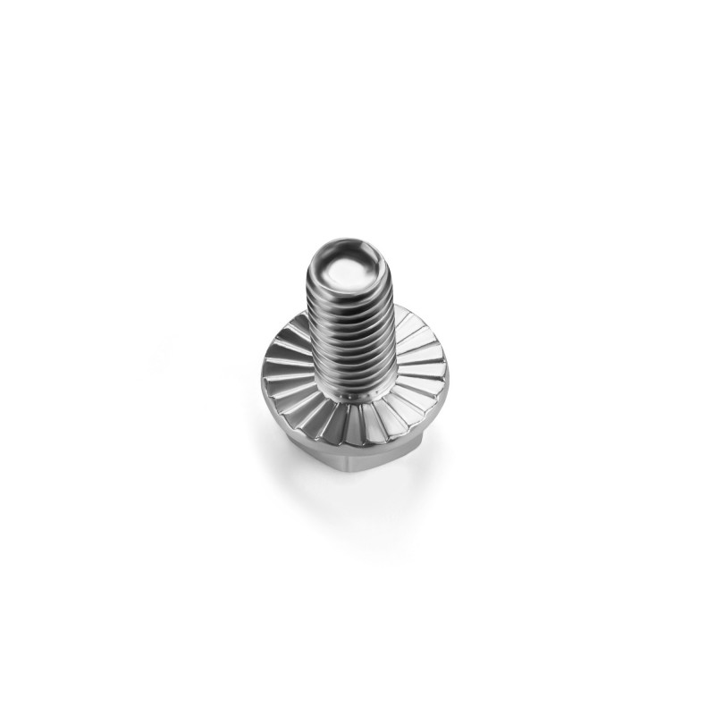 Adam Hall Hardware 54 M8 X30 - Śruba M8 x 30 z wieńcem zębatym, stal ocynkowana - 4 Adam Hall Hardware 54 M8 X30 - Śruba M8 x 30 z wieńcem zębatym, stal ocynkowana - 4