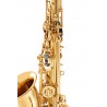 Roy Benson AS-201 - Saksofon altowy dla dzieci w stroju Eb - 2