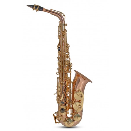 Roy Benson AS-202G - Saksofon altowy w stroju Eb - 1