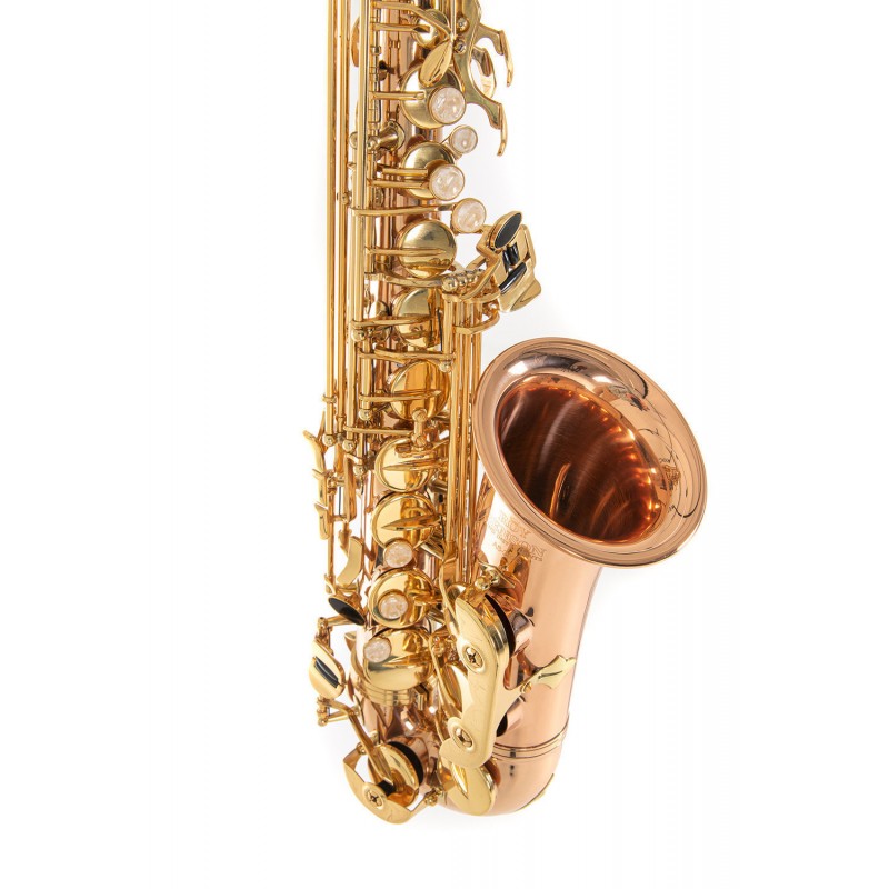 Roy Benson AS-202G - Saksofon altowy w stroju Eb - 2