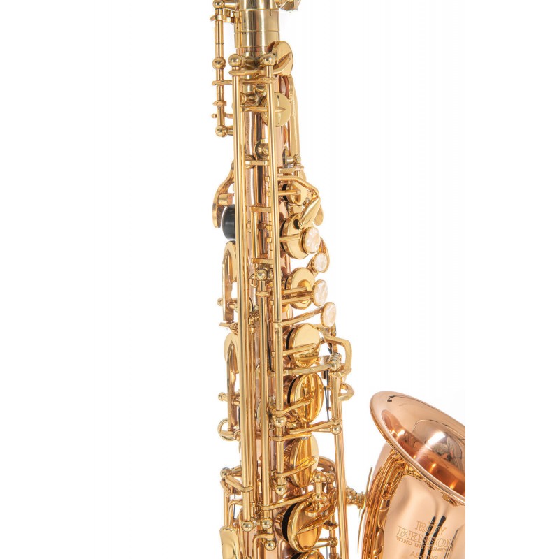 Roy Benson AS-202G - Saksofon altowy w stroju Eb - 6