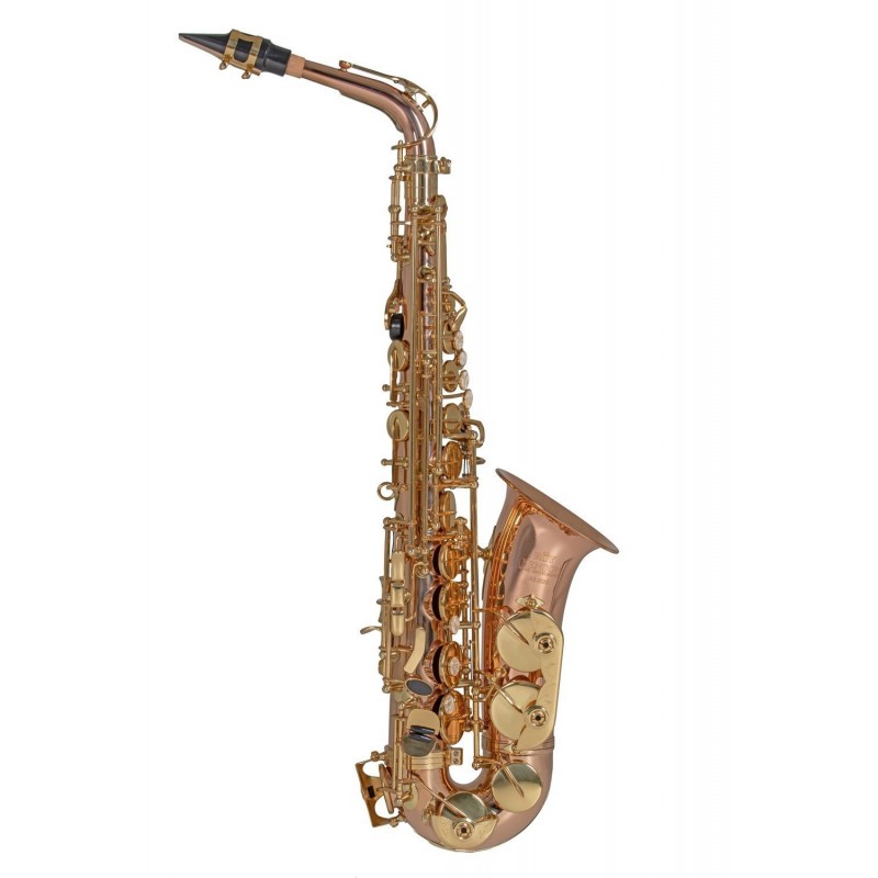 Roy Benson AS-202G - Saksofon altowy w stroju Eb - 9