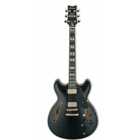 Ibanez JSM20-BKL - Gitara elektryczna