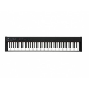 KORG D1 BK - Pianino cyfrowe