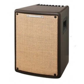 IBANEZ TROUBADOUR T80II - combo akustyczne