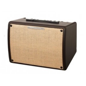 IBANEZ TROUBADOUR T30II - combo akustyczne