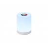 EUROLITE AKKU Table Light RGB - 4 EUROLITE AKKU Table Light RGB - 4