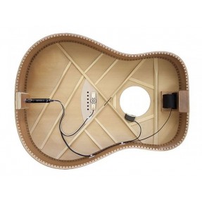 LR BAGGS ANTHEM - System pickup