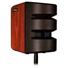 LR BAGG Synapse - wzmacniacz akustyczny