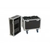 ROADINGER Flightcase 2x LED TMH-75 - 2 ROADINGER Flightcase 2x LED TMH-75 - 2