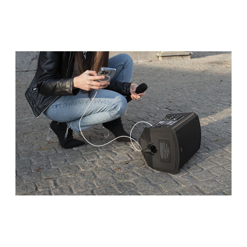 DAP Audio WM-10 Handheld Microphone for PSS-106 - 5 DAP Audio WM-10 Handheld Microphone for PSS-106 - 5