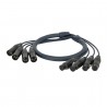 DAP Audio Neutrik DMX Snake 4-way 3-pin XLR - 10 m - 1 DAP Audio Neutrik DMX Snake 4-way 3-pin XLR - 10 m - 1