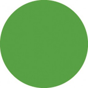 Showgear Colour Roll 122 x 762 cm - fern green - 1