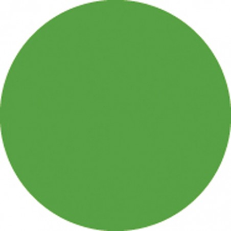 Showgear Colour Roll 122 x 762 cm - fern green - 1