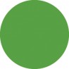 Showgear Colour Roll 122 x 762 cm - fern green - 1 Showgear Colour Roll 122 x 762 cm - fern green - 1