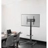Showgear Flat Screen Trolley 7 - 32" to 55" - 6 Showgear Flat Screen Trolley 7 - 32" to 55" - 6