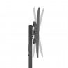 Showgear Flat Screen Trolley 7 - 32" to 55" - 11 Showgear Flat Screen Trolley 7 - 32" to 55" - 11