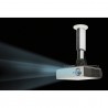 Showgear PRB-7 - 3 Showgear PRB-7 - 3