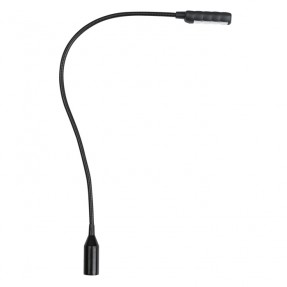 Showgear GooseLight XLR, CW - 40 cm, 3-pin Straight - 1