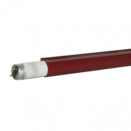 Showgear C-Tube T8 1200 mm - bright red - strong red, good for costume - 1