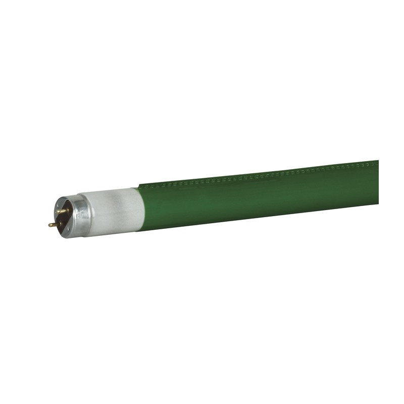 Showgear C-Tube T8 1200 mm - evergreen - colour fast filter - 1 Showgear C-Tube T8 1200 mm - evergreen - colour fast filter - 1