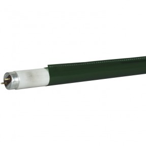 Showgear C-Tube T8 1200 mm - primary green - colour fast filter - 1
