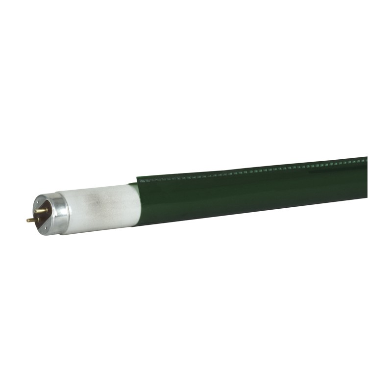 Showgear C-Tube T8 1200 mm - primary green - colour fast filter - 1 Showgear C-Tube T8 1200 mm - primary green - colour fast filter - 1