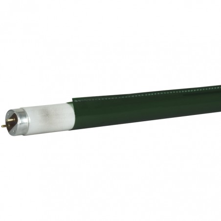 Showgear C-Tube T8 1200 mm - primary green - colour fast filter - 1