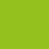 Showgear Electric Confetti Cannon Pro - 80 cm, light green - 2