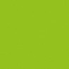 Showgear Handheld Confetti Cannon Pro - 80 cm, light green - 2 Showgear Handheld Confetti Cannon Pro - 80 cm, light green - 2