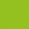 Showgear Electric Confetti Cannon - 50 cm, light green - 2