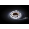 Artecta A0852004 - Havana Ribbon 72-24 V RGB+WW - 6 Artecta A0852004 - Havana Ribbon 72-24 V RGB+WW - 6