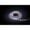 Artecta A0852027 - Havana Ribbon RGB+Amber 24V - 6 Artecta A0852027 - Havana Ribbon RGB+Amber 24V - 6