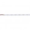 Artecta A0852047 - Havana Ribbon 6000K 30-24V - 2 Artecta A0852047 - Havana Ribbon 6000K 30-24V - 2