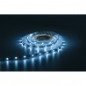 Artecta A0852047 - Havana Ribbon 6000K 30-24V - 5 Artecta A0852047 - Havana Ribbon 6000K 30-24V - 5