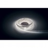 Artecta A0852123 - Havana Ribbon 6000K 80-24V - 2