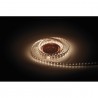 Artecta A0852557 - Havana Ribbon 2400K 75-24V - 2